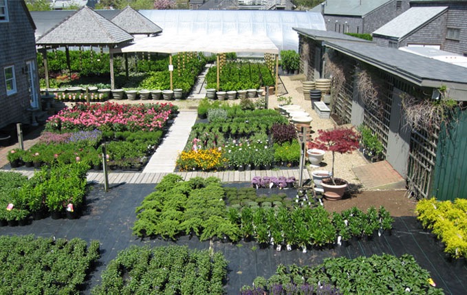 Nantucket Nursery