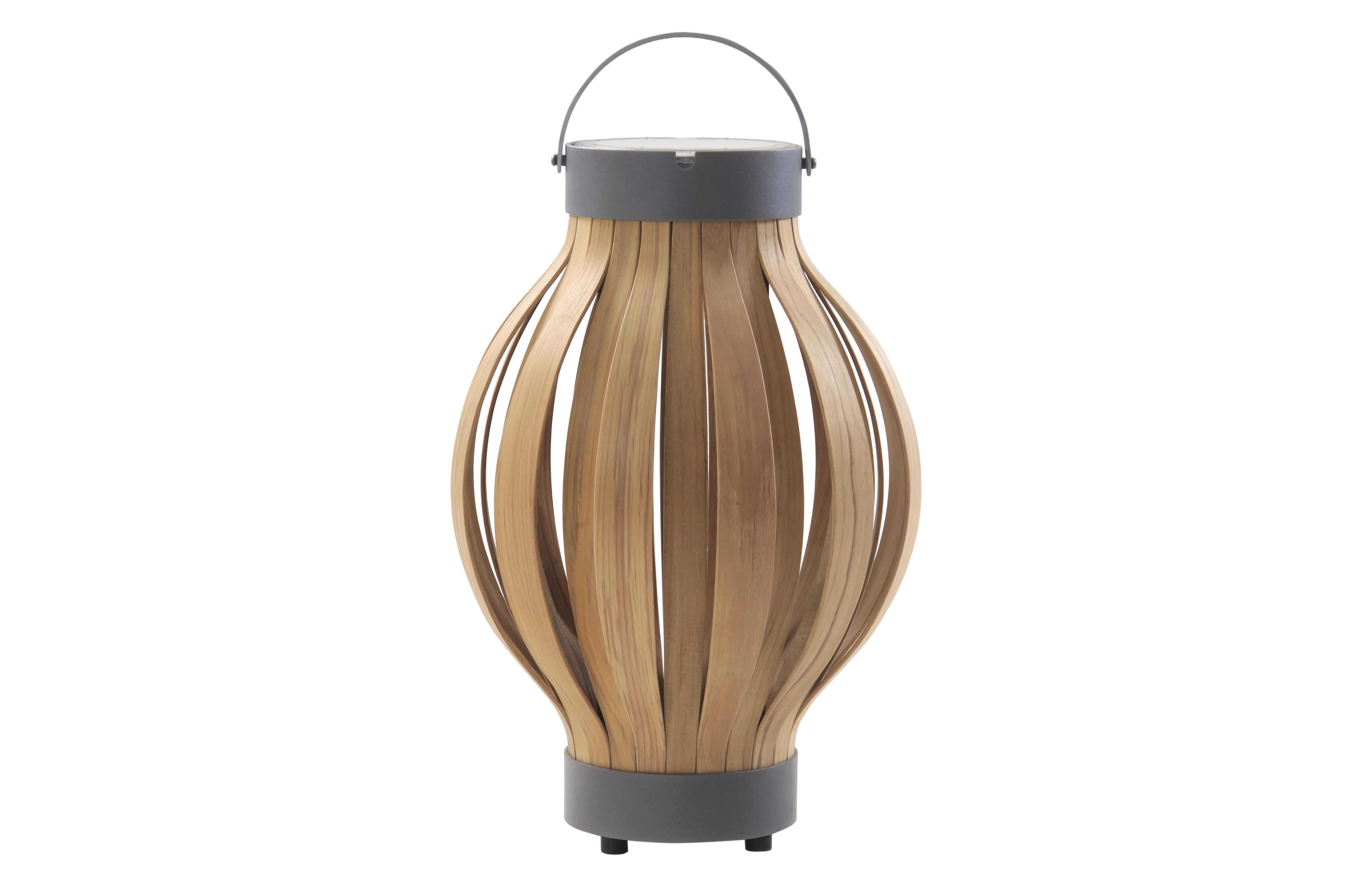 Daffodil Lantern